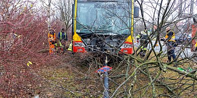 Wypadek autobusu na Ursynowie. Kierowca przysnął?-32682