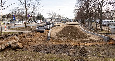 Ruszyła wielka przebudowa na Stryjeńskich. Wytną ponad 40 drzew-33152