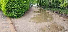Problem w parku Przy Bażantarni. "Macie to w nosie!"