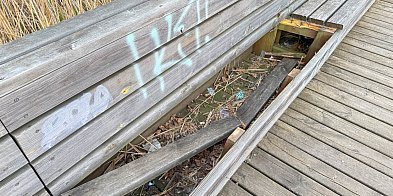 Dziury w pomostach, zniszczone ławki wokół jeziora. Dzielnica: Mamy związane ręce-34650