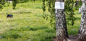 Łopata kontra psie dołki. Nietypowa akcja ursynowianina