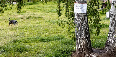 Łopata kontra psie dołki. Nietypowa akcja ursynowianina-34824