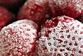 Salmonella w truskawkach z Biedronki. GIS ostrzega przed tą partią-34921