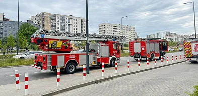 Akcja strażaków w Żabce na Imielinie. Zapaliło się pod sufitem-34945
