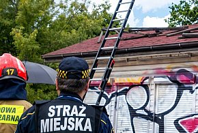 Niebezpiecznie na Płaskowickiej! Co zrobić z opuszczonymi kioskami i pawilonami?-35174