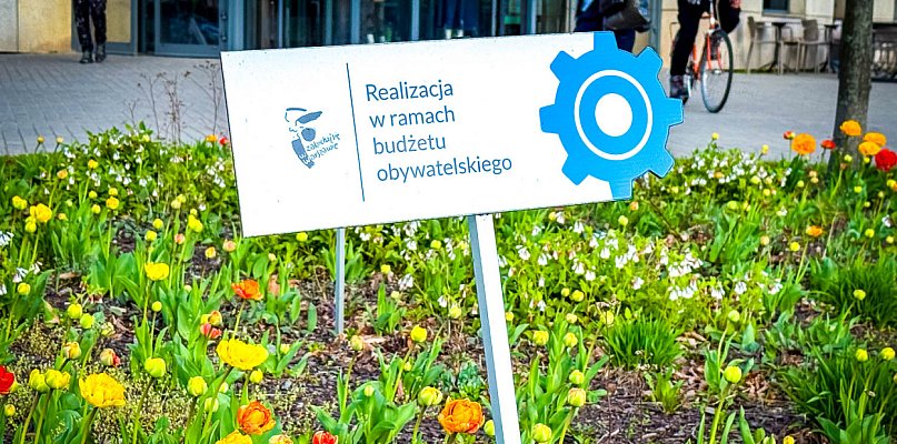 Ursynów znów głosuje. Aż 97 kandydatów! - 35074