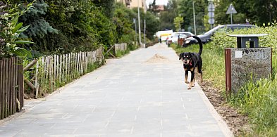 Nowy chodnik na Dembego."To są pieniądze wyrzucone w błoto!"-35268