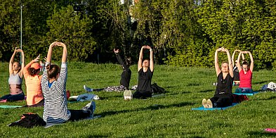 Joga w trawie - darmowe zajęcia na Ursynowie-35334