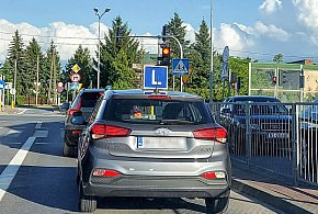 Egzamin na prawo jazdy będzie inny. Od 1 lipca nowe zasady-35489