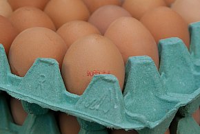 Salmonella na jajach znanej marki. Nie jedz, jeśli masz je w lodówce!-35635