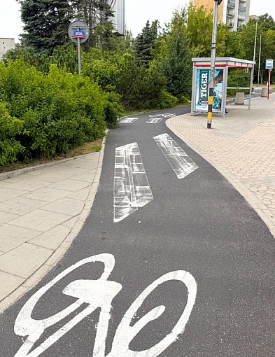 Radni domagają się pasów na drogach rowerowych. Ratusz: Nie znają przepisów!-35644