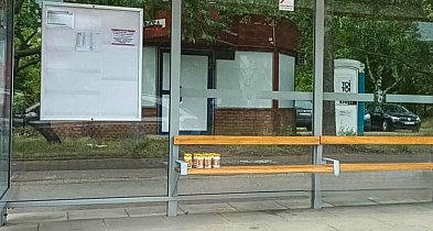 Sos tatarski czekał na autobus... Niecodzienne znalezisko na Ursynowie!-36080
