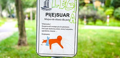 Piesuary na Ursynowie. Hit czy kit?-36097