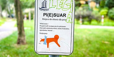 Piesuary na Ursynowie. Hit czy kit?-36097