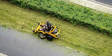 Awantury o koszenie trawy w mieście. Ekspert wyjaśnia!-23553