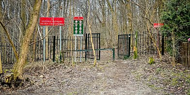 Koniec ze spacerami po Skarpie Ursynowskiej! RDOŚ zamknie wejścia-36400