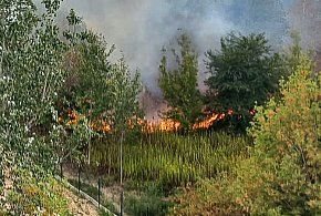 Pożar nad jeziorkiem imielińskim. Szybka akcja strażaków zapobiegła tragedii-36475