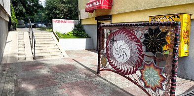Wielki pająk rozpiął sieć na ursynowskim trzepaku! Zobacz!-36474