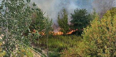 Pożar nad jeziorkiem imielińskim. Szybka akcja strażaków zapobiegła tragedii-36475