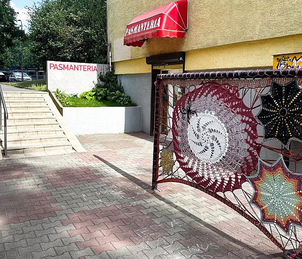 Wielki pająk rozpiął sieć na ursynowskim trzepaku! Zobacz!-36474