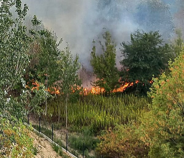 Pożar nad jeziorkiem imielińskim. Szybka akcja strażaków zapobiegła tragedii-36475