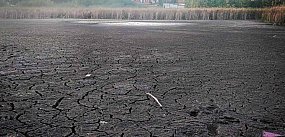 Przetrwało 200 tys. lat, nie przetrwa deweloperów?