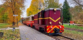 Pomysł na święto niepodległości? Zabytkowa wąskotorówka