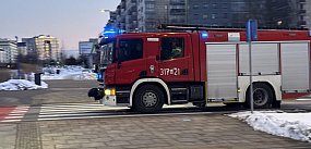 Wypadek w Lesie Kabackim. Drzewo spadło na leśniczego