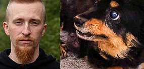 Przemoc wobec zwierząt w wielkiej płycie