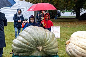 Konkurs dyń w Powsinie-6413