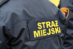 Zapuka strażnik, zapłacisz karę. Ruszyły kontrole w całej Polsce-37261