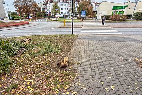 Co się stało na Surowieckiego? Dziecko potrącone na pasach, ale to nie koniec-37150