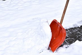 Ten obowiązek może wreszcie zniknąć. Sejm rozważa zmianę przepisów-37466