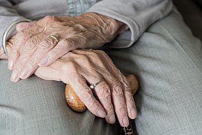 Te osoby dostaną dwie emerytury w grudniu. ZUS przesuwa przelewy-38015