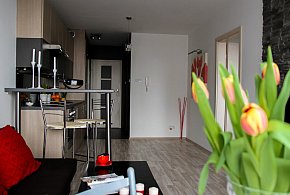 Rewolucja w wynajmie na doby. Nadchodzi koniec "wolnej amerykanki"-38331