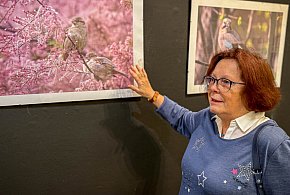 Z balkonu na wystawę! Ptaki Ursynowa na pięknych zdjęciach sąsiadki w DK Stokłosy-38373