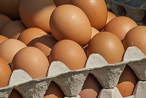 Salmonella wykryta w jajach! GIS wydał pilne ostrzeżenie-38585