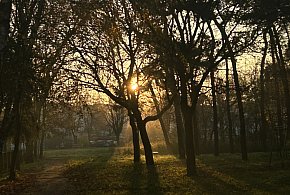 Nadchodzi najkrótszy dzień w 2025 roku. Sprawdź, kiedy przypadnie-38666