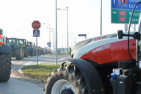 Rolnicy zapowiadają protest w całym kraju. Skala może zaskoczyć-38805