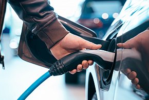 Coraz częściej dochodzi do takich kradzieży. Powody zaskakują-39241