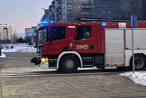 Wypadek w Lesie Kabackim. Drzewo spadło na leśniczego