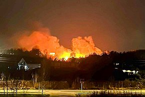 Pożar nad Jeziorem Zgorzała. Ogień był widoczny z innych dzielnic