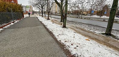 Pierwszy taki chodnik na Ursynowie. Ma chronić drzewa