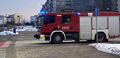 Wypadek w Lesie Kabackim. Drzewo spadło na leśniczego