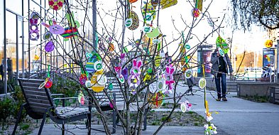 Ale kolorowo pod ratuszem! Na krzewach wyrosły zajączki i wielkanocne jaja