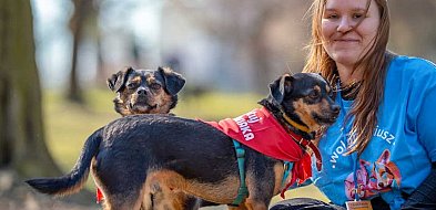 Adoptuj Warszawiaka wraca na Ursynów! Niezwykły duet z Palucha