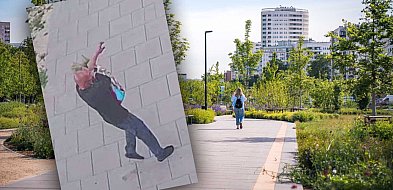 Nowy park okradziony z roślin. "Wcześniej czy później odwiedzi Cię policja"