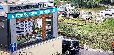 Deweloper wyciął drzewo, bo zasłaniało widok? Oburzenie po wycince na Ursynowie