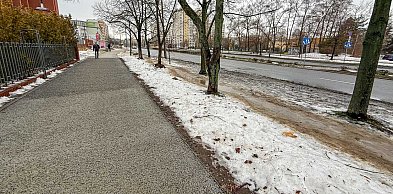 Pierwszy taki chodnik na Ursynowie. Ma chronić drzewa