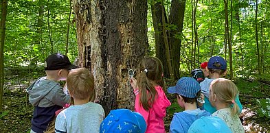 Wilki, ptaki i leśne sekrety. Niezwykłe zajęcia w Lesie Kabackim!
